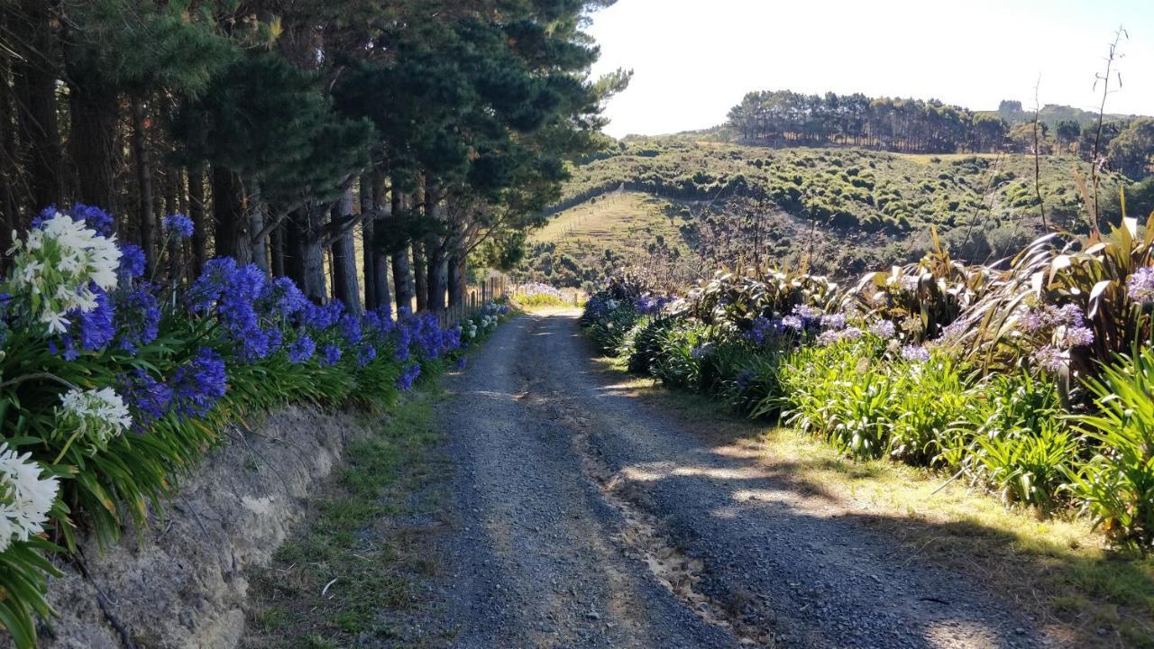 Hilltop Lodge Porirua Bagian luar foto